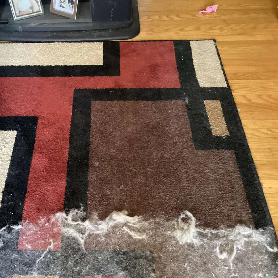 Neat Pet Clean Glove™