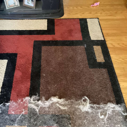 Neat Pet Clean Glove™